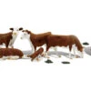 Woodland Scenics WDS A2767 WDS2767 Hereford Cows - O Scale(Woodland Scenics A2767 Hereford Cows Scale Figures O Scale) -BRADY’S TRAINS MODELs A2767 f 1