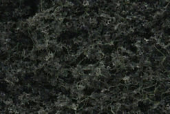 Woodland Scenics WDS TR1105 WDS1105 Conifer Green - 24/pkg O SCALE NEW(Woodland Scenics Wds Tr1105 Wds1105 Conifer Green 24 Pkg O Scale New)